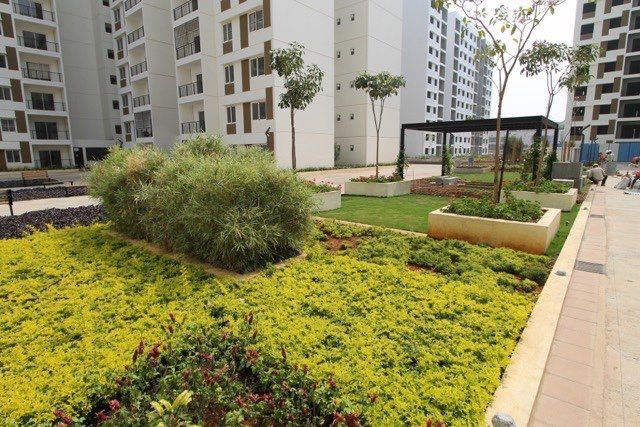 Landscaped roof garden